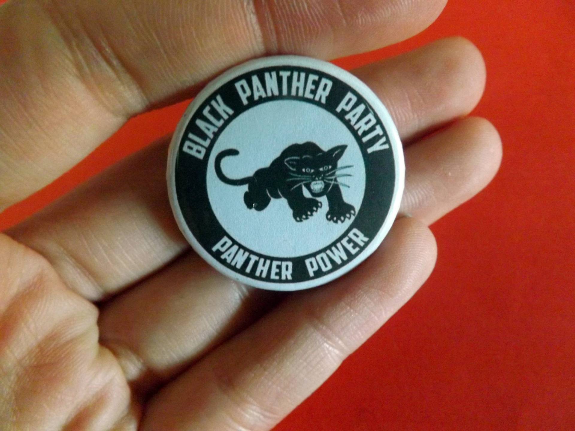 Anstecknadel Aus Metall Mit „Panthers Party" Anstecknadel Aus Metall Mit „Panthers Party" von PraxiStudio