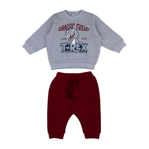 Prénatal Baby Girls Completo Tuta Felpata a Tema Dinosauri, Pantalone Lungo e Felpa in Morbido Cotone Trainingsanzug-Set, Red, 12-18 Monate von Prénatal