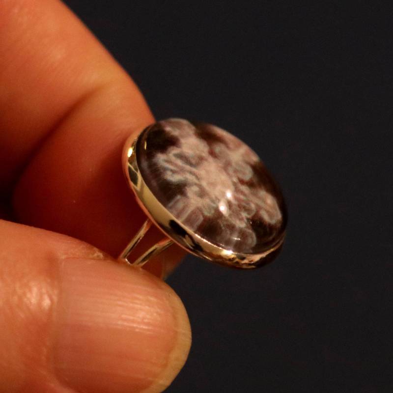 Foto Von Schneeflocke in Ring Unter Glas - Nicht A Real Bitcoin Akzeptiert Foto Von Schneeflocke in Ring Unter Glas - Nicht A Real Bitcoin Akzeptiert von PreservedSnowflakes