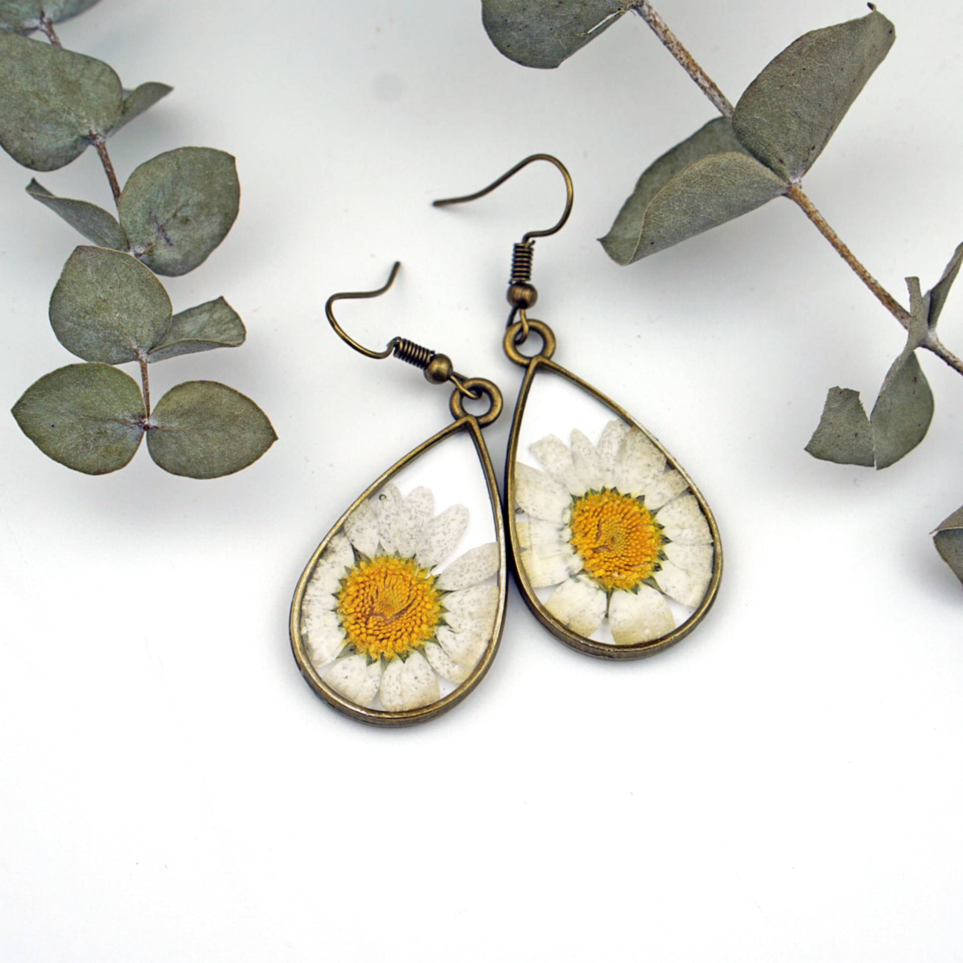 April Birth Flower Teardrop Ohrringe, Gänseblümchen, Gift, Schmuck Set, Echte Blumen April Birth Flower Teardrop Ohrringe, Gänseblümchen, Gift, Schmuck Set, Echte Blumen von PrettyPickle