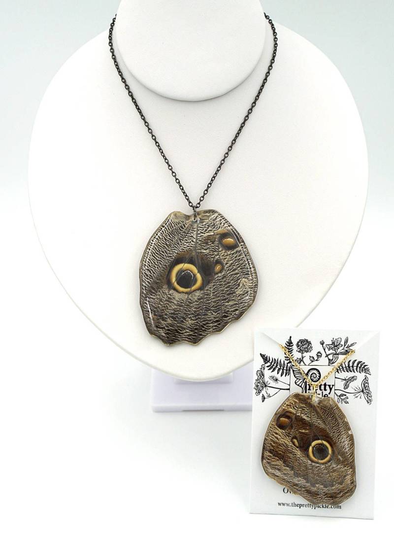 Eulen-Auge Schmetterling Hind Flügel, Braune Motte, Echter Schmetterling, Flügel Schmuck, Resin Owl Eye Moth Eulen-Auge Schmetterling Hind Flügel, Braune Motte, Echter Schmetterling, Flügel Schmuck, Resin Owl Eye Moth von PrettyPickle