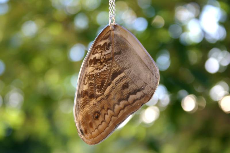 Eulengesicht Schmetterling Vorderflügel, Braune Motte, Echter Schmetterling, Flügelschmuck, Harzflügel Eulengesicht Schmetterling Vorderflügel, Braune Motte, Echter Schmetterling, Flügelschmuck, Harzflügel von PrettyPickle