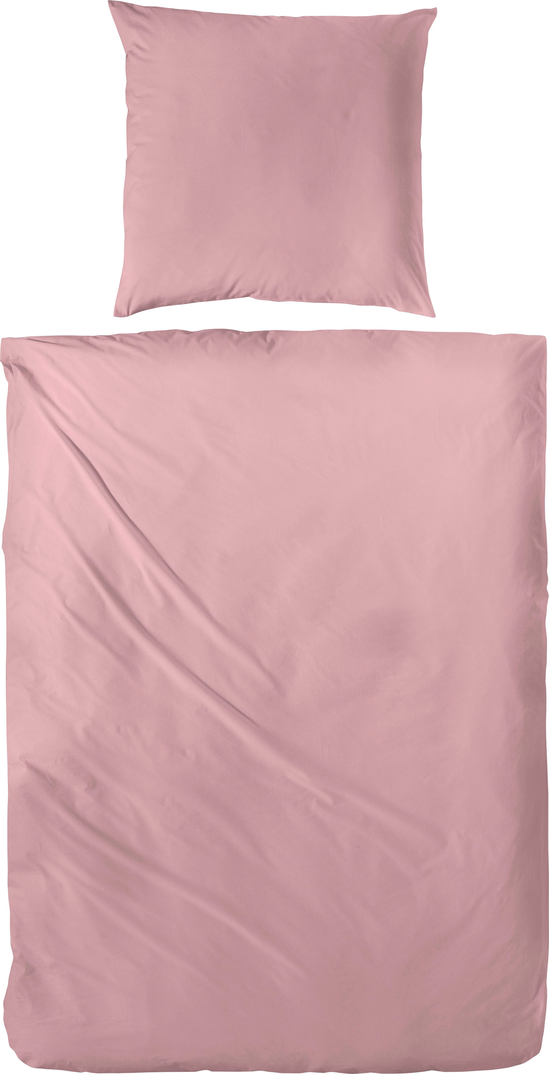 Primera Bettwäsche "Uni Baumwolle" 2 Stk. tlg. im modernen Uni-Look von Primera