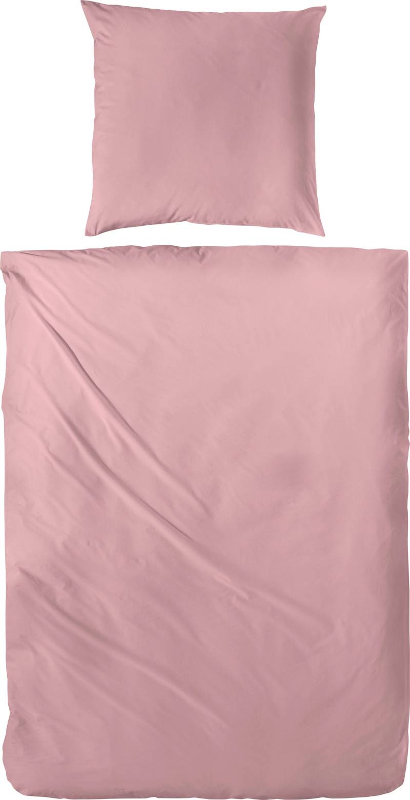 Primera Bettwäsche "Uni Baumwolle" 2 Stk. tlg. im modernen Uni-Look von Primera