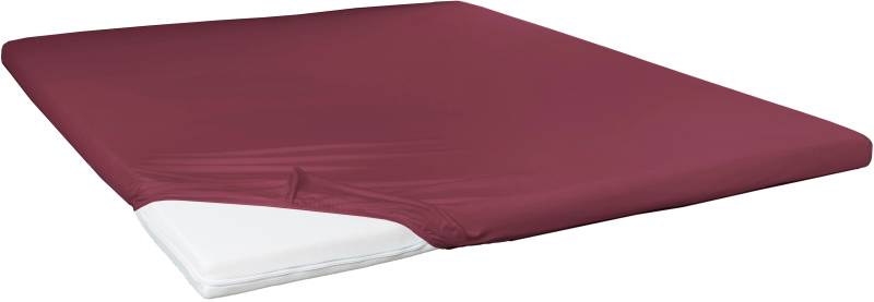 Primera Spannbettlaken "Elasthan-Feinjersey Topper" Aus 95% gekämmter Baumwolle und 5% Elastan von Primera