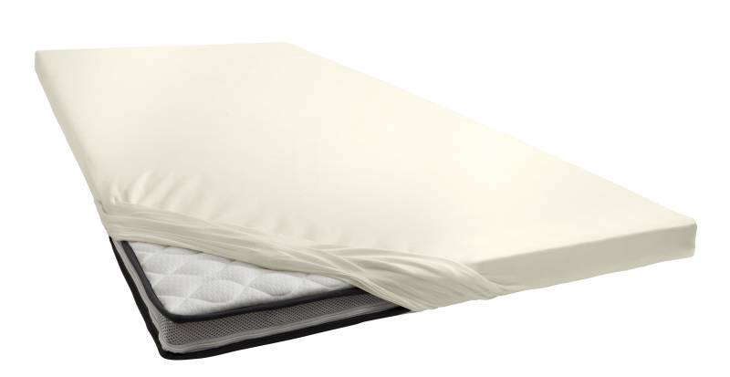 Primera Spannbettlaken "Elasthan-Feinjersey Topper" Aus 95% gekämmter Baumwolle und 5% Elastan von Primera