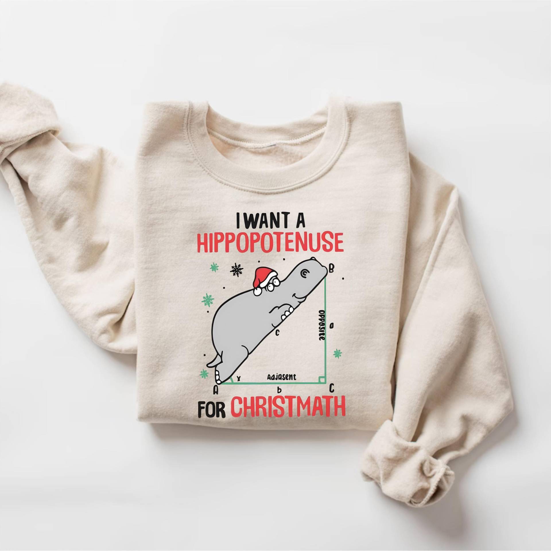 Ich Will Ein Hippopotenuse Für Weihnachten Sweatshirt, Lustiges Geometrie T-Shirt, Mathe Shirt, Lehrer Geschenk von PrintBoutique4U