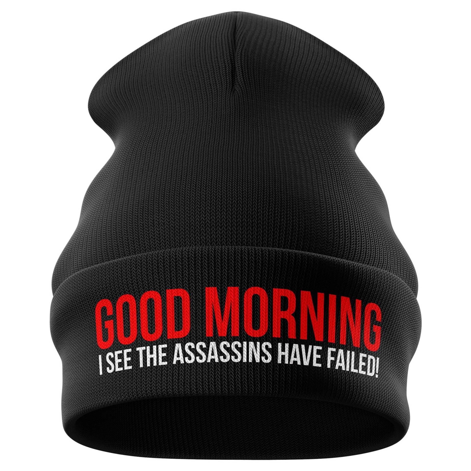 Assassins Have Failed Lustige Beanie Mütze, Bestickt, Geschenk Für Gamer, Geburtstag Geschenke Sie Ihn, Herren Winter Kalte Ski von PrintCartelStore