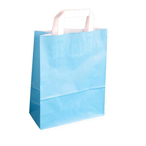 250 Papiertragetaschen Papiertüten Einkaufstüten Tragetaschen Papier 70-80g/m² mit Papier Flachhenkel Hellblau Himmelblau Blau 3 Verschiedene Größen zur Auswahl (22+10x28cm) von Pro DP