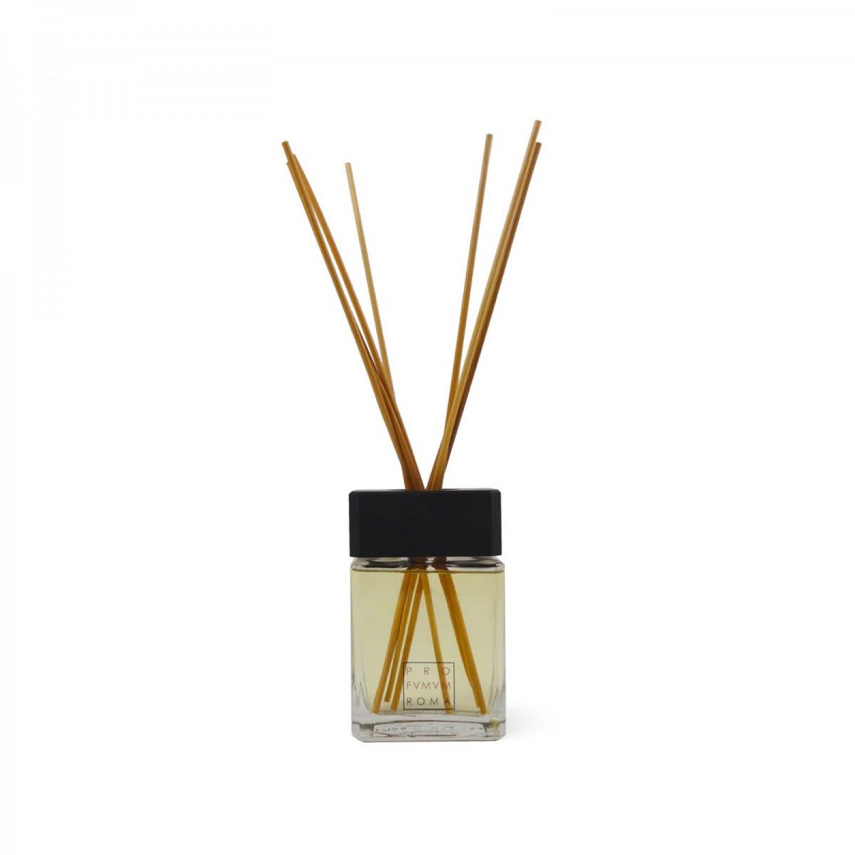 Profumum Roma Terra Fragrance Diffuser von Profumum Roma