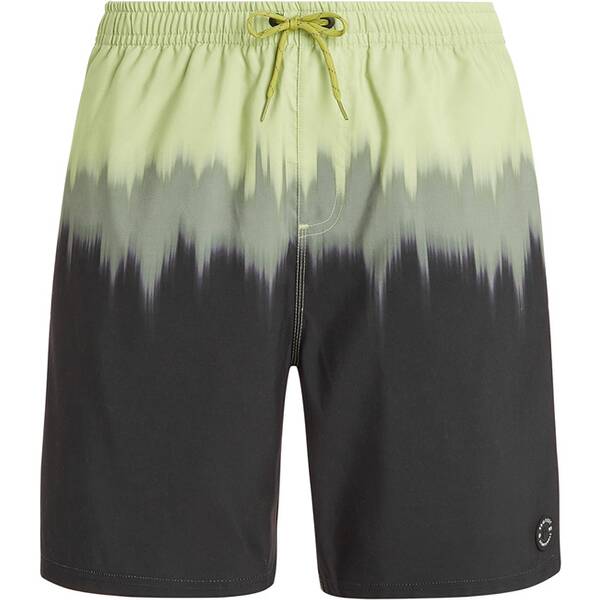 PROTEST Herren Badeshorts PRTCAGNES beachshort von Protest