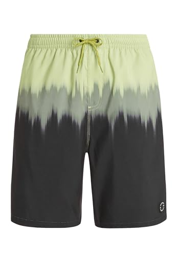 Protest Men Beachshorts PRTCAGNES Algaegreen Xs von Protest