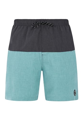 Protest Men Boardshorts PRTHELI Arcticgreen L von Protest