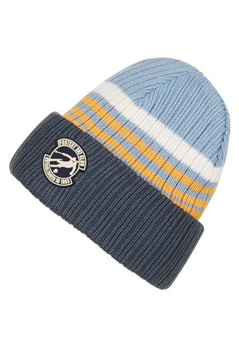 Protest Herren Mütze PRTLABUKI von Protest