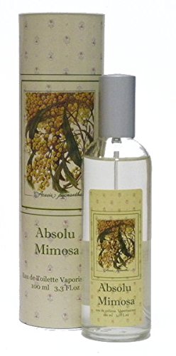 Provence et Nature Absolu Mimosa, 1er Pack (1 x 100 ml) von Provence et Nature