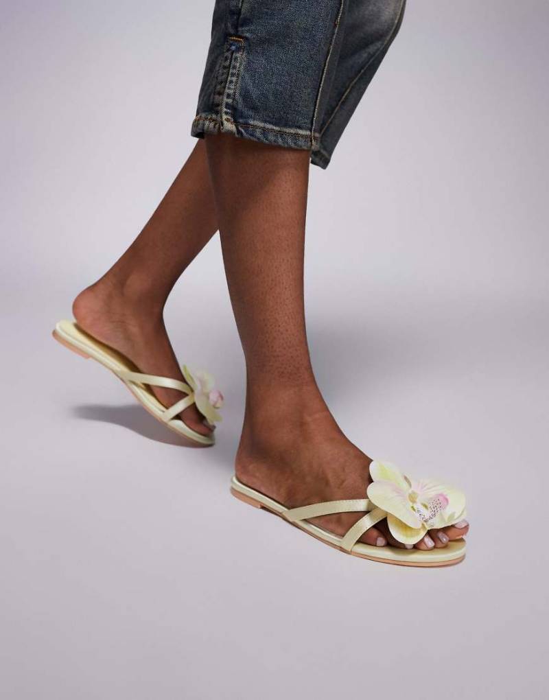 Public Desire - Claudette - Flache Sandalen in Limettengrün mit 3D-Blumenverzierung von Public Desire