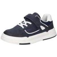 Puccetti Sneaker Jungen blau|blau|blau|blau|blau von Puccetti