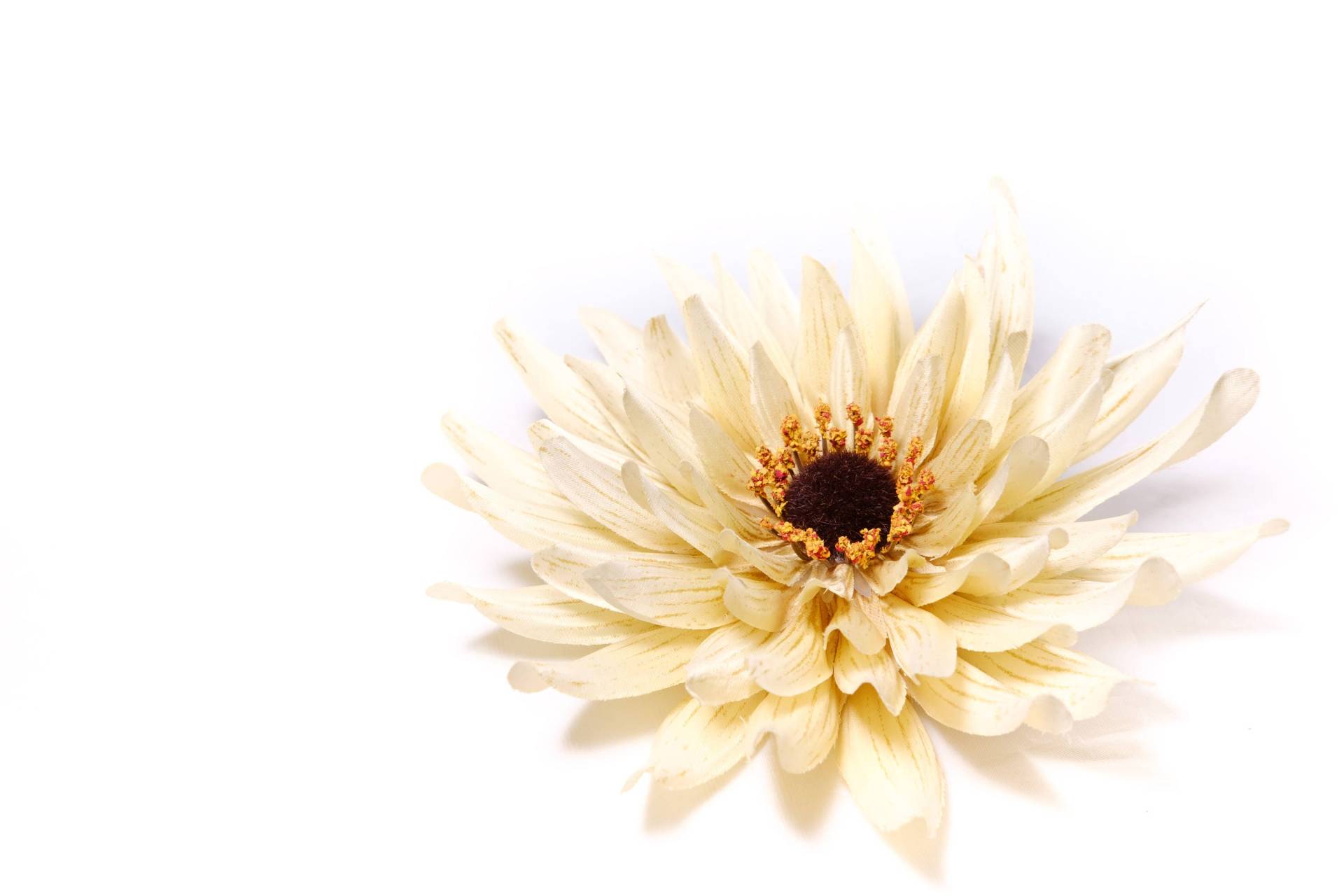 Herbst-Creme Chrysantheme Blume Haarspange Herbst-Creme Chrysantheme Blume Haarspange von PuffyCheeksLLC