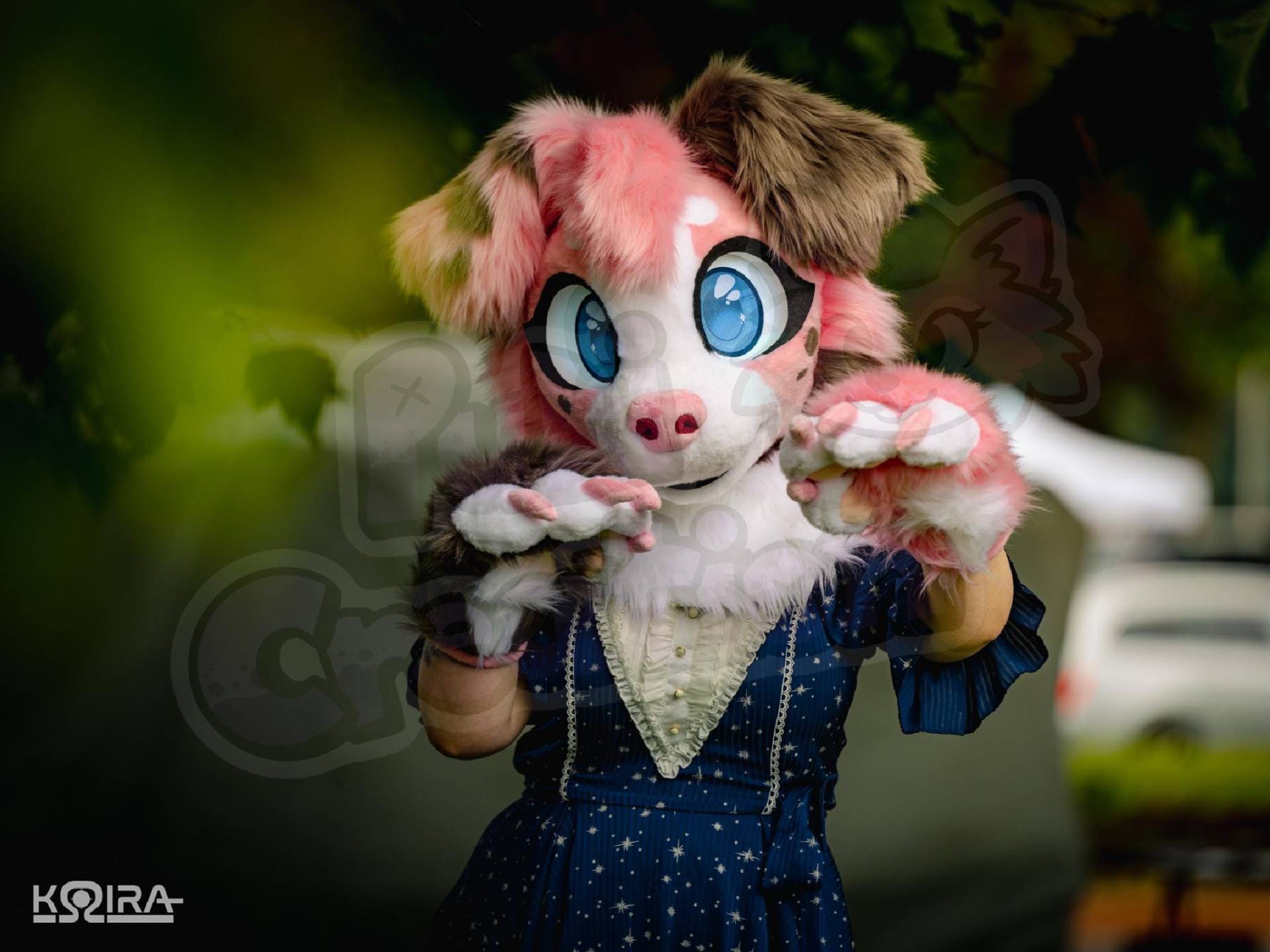 Premade Fursuit - Australian Shepherd Dog Premade Fursuit - Australian Shepherd Dog von PukiCreation