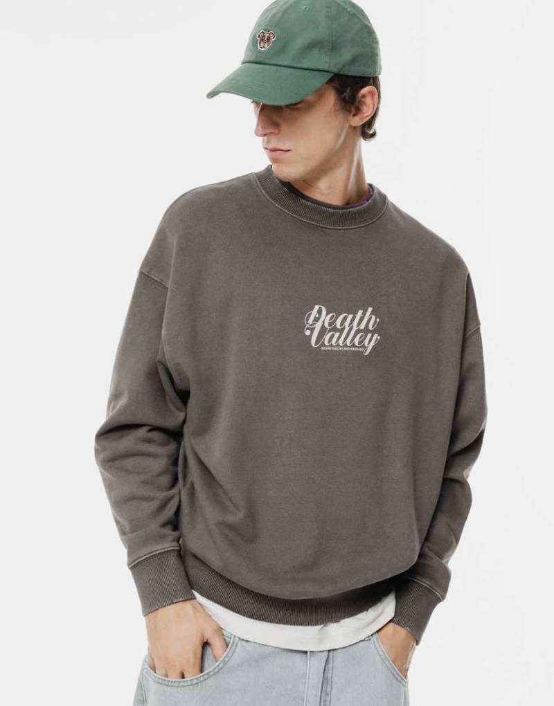 Pull & Bear - Sweatshirt in Grau mit Rundhalsausschnitt und Wolf-Grafikmotiv von Pull & Bear