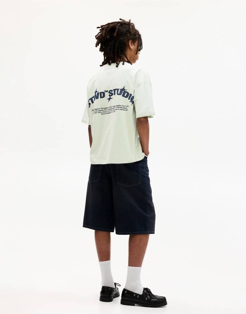 Pull & Bear - T-Shirt in Blassgrün mit „STWD"-Print von Pull & Bear