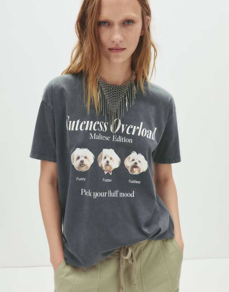 Pull & Bear - T-Shirt in Dunkelgrau mit Hunde-Print von Pull & Bear