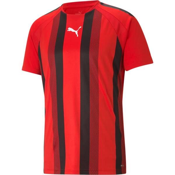 PUMA Herren Fanshirt teamLIGA Striped Jersey von Puma