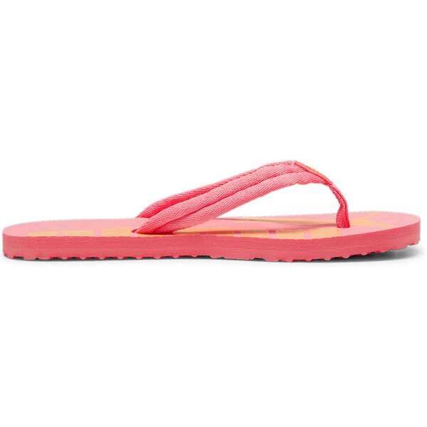 PUMA Herren Flip Flops Epic Flip v2 von Puma