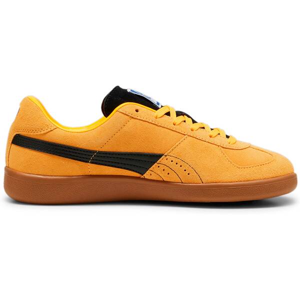 PUMA Herren Handball von Puma