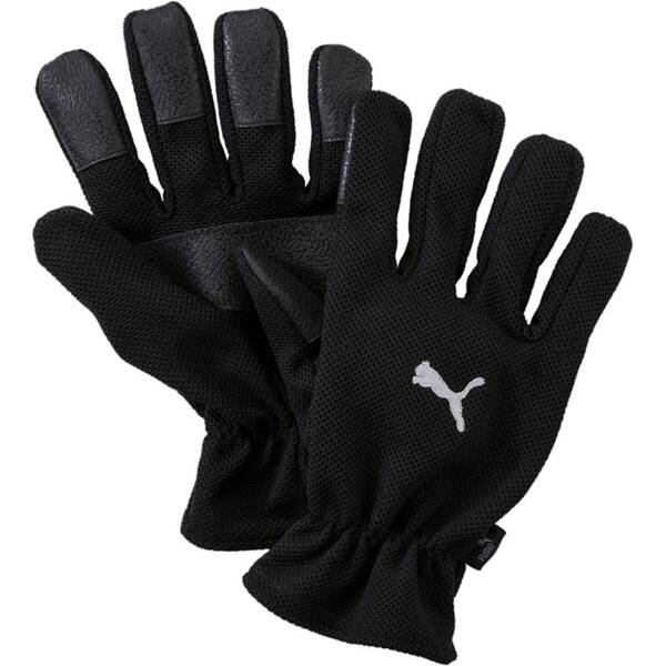 PUMA Herren Handschuhe Winter Players von Puma