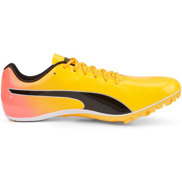 PUMA Herren Leichtathletikschuhe evoSPEED Sprint 14 von Puma