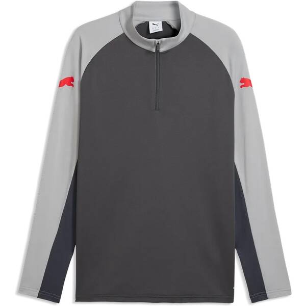PUMA Herren Shirt IndividualLIGA 1/4 Zip Top von Puma