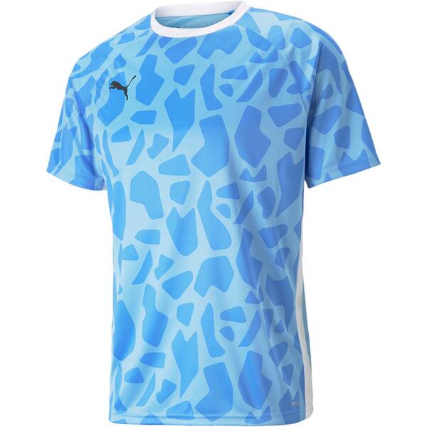 PUMA Herren Shirt teamLIGA Multisport Graphic Shirt von Puma