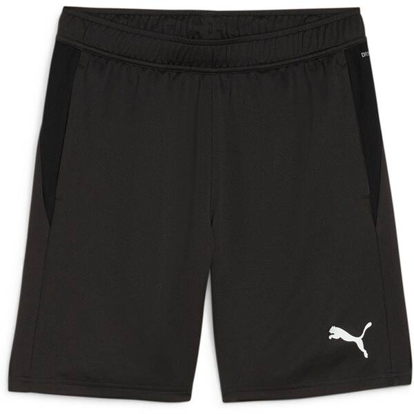 PUMA Herren Shorts teamGOAL Training Short von Puma