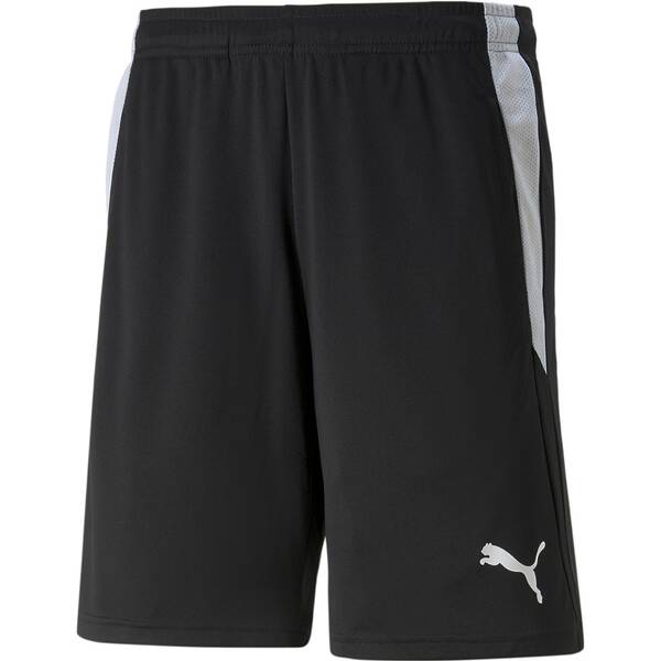 PUMA Herren Shorts teamLIGA Referee Shorts von Puma