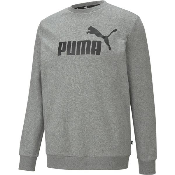 PUMA Herren Sweatshirt ESS Big Logo Crew TR von Puma