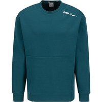 PUMA Herren Sweatshirt grün Baumwolle von Puma