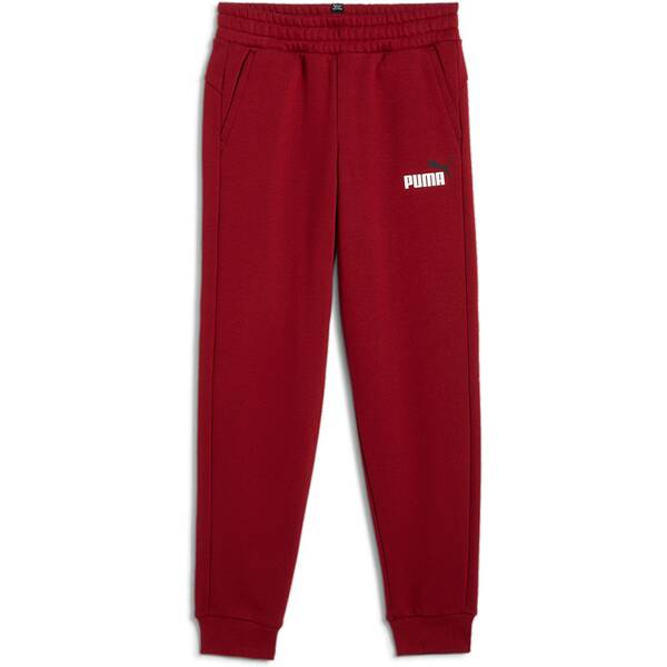 PUMA Kinder Hose ESS 2 Col Logo Pants FL von Puma