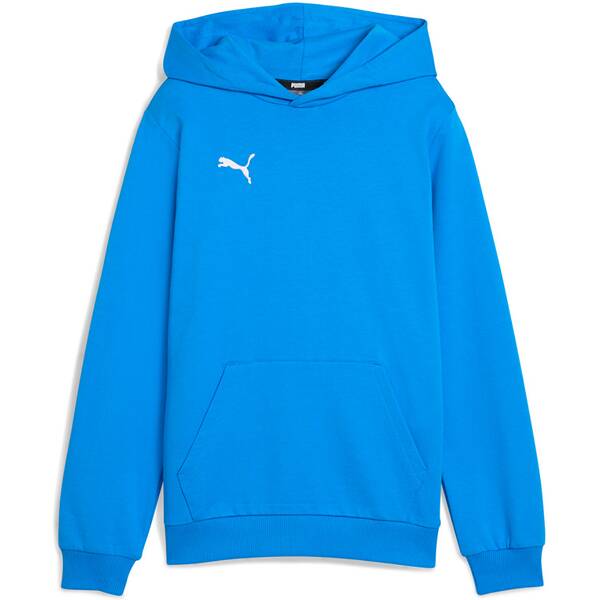 PUMA Kinder Pullover teamGOAL Casuals Hoody Jr von Puma
