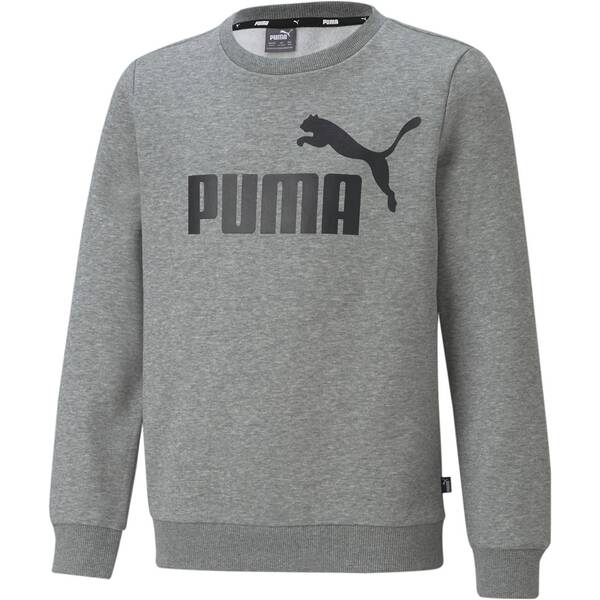 PUMA Kinder Sweatshirt ESS Big Logo Crew FL B von Puma