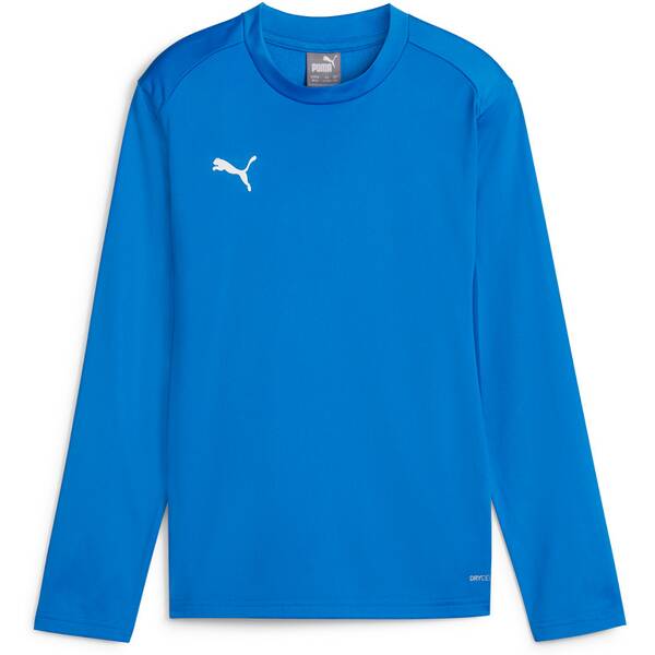 PUMA Kinder Sweatshirt teamGOAL Training Sweat Jr von Puma