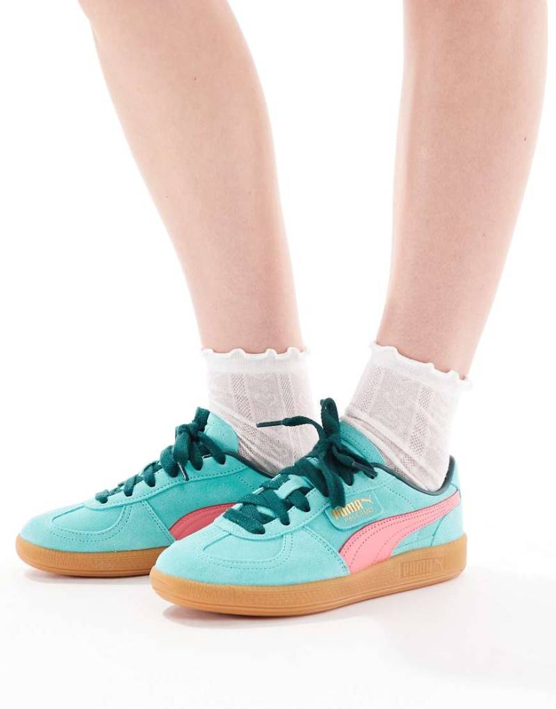 PUMA - Palermo - Sneaker in Petrol und Rosa-Blau von Puma