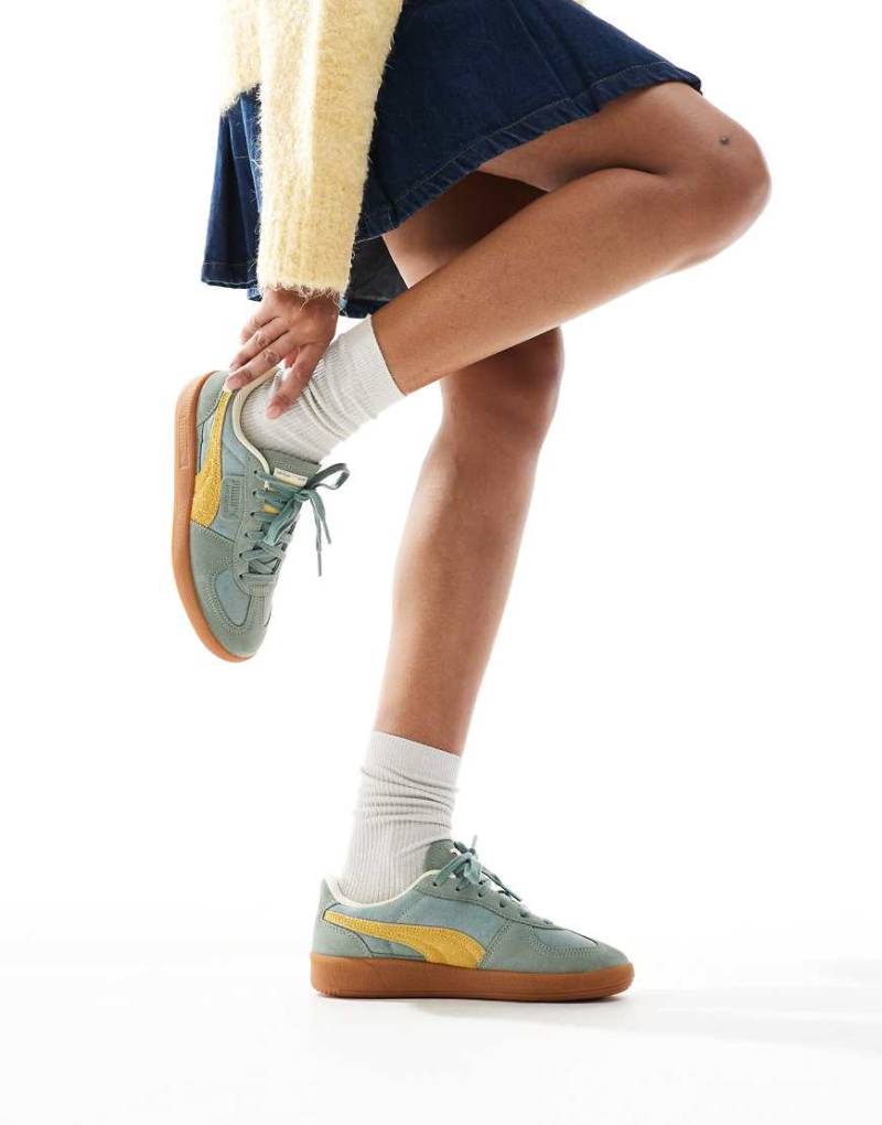 PUMA - Palermo - Sneaker in verwaschenem Grün von Puma