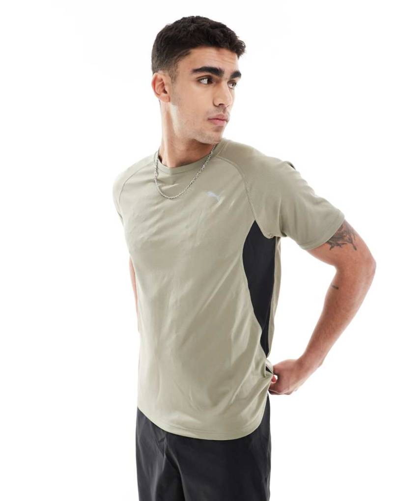 PUMA - Run Velocity - T-Shirt in Khaki mit roter Paspelierung-Grün von Puma