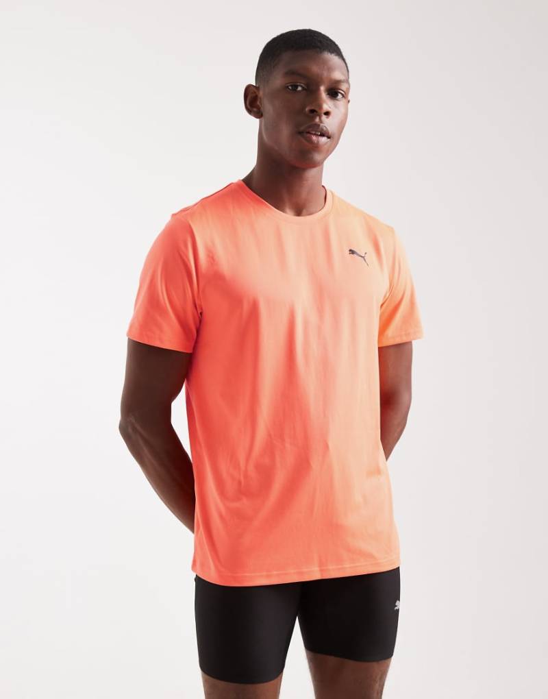 PUMA - TAD Essentials Solid Cat - Sport-T-Shirt in Rot PUMA - TAD Essentials Solid Cat - Sport-T-Shirt in Rot von Puma