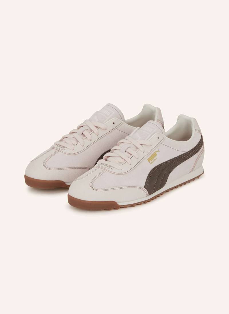 Puma Sneaker Arizona Wine Club weiss von Puma
