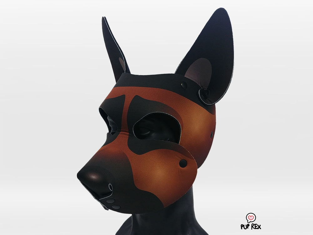 Haube Deutscher Schäferhund/Welpe Rex | Spezialanfertigung Haube Deutscher Schäferhund/Welpe Rex | Spezialanfertigung von PupRexGear