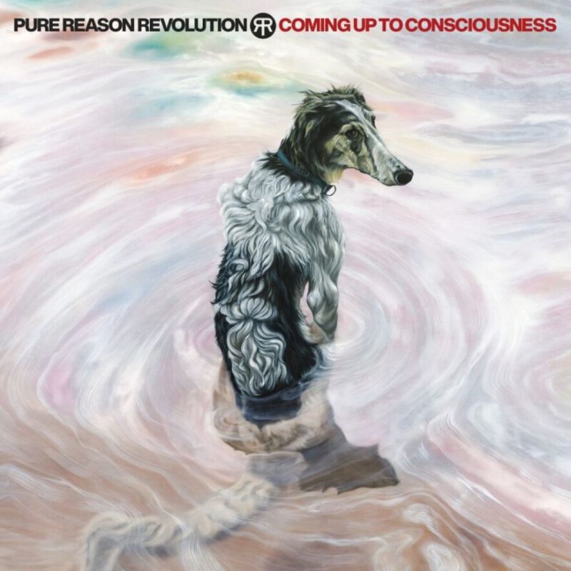 Pure Reason Revolution Coming up to consciousness CD multicolor Pure Reason Revolution Coming up to consciousness CD multicolor von Pure Reason Revolution