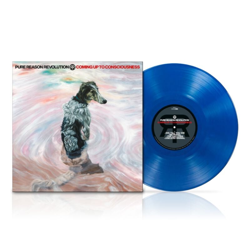 Pure Reason Revolution Coming up to consciousness LP multicolor Pure Reason Revolution Coming up to consciousness LP multicolor von Pure Reason Revolution