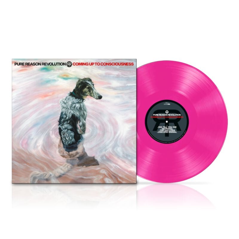 Pure Reason Revolution Coming up to consciousness LP multicolor Pure Reason Revolution Coming up to consciousness LP multicolor von Pure Reason Revolution